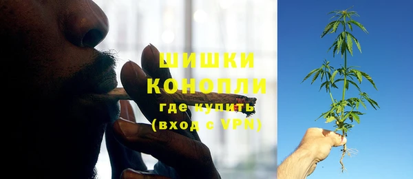 бошки Щигры