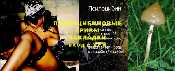 кокс Краснослободск